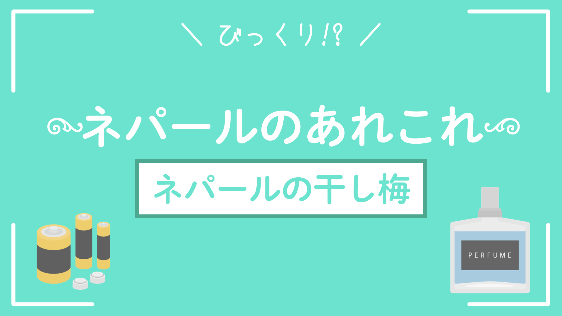 ネパールにあるあれこれ【干し梅風味】